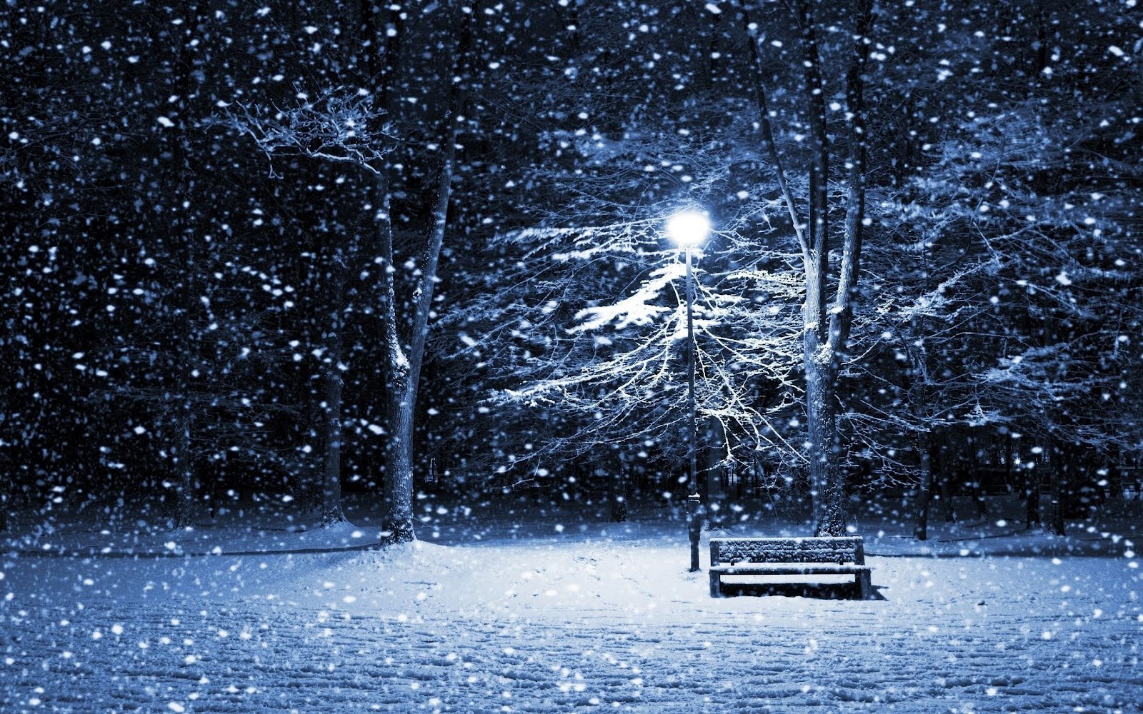 park_bench_in_snow_at_night-wide